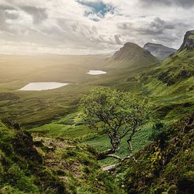 Panorama in den schottischen Highlands - Quiraing Isle of Skye von Bjorn Snelders