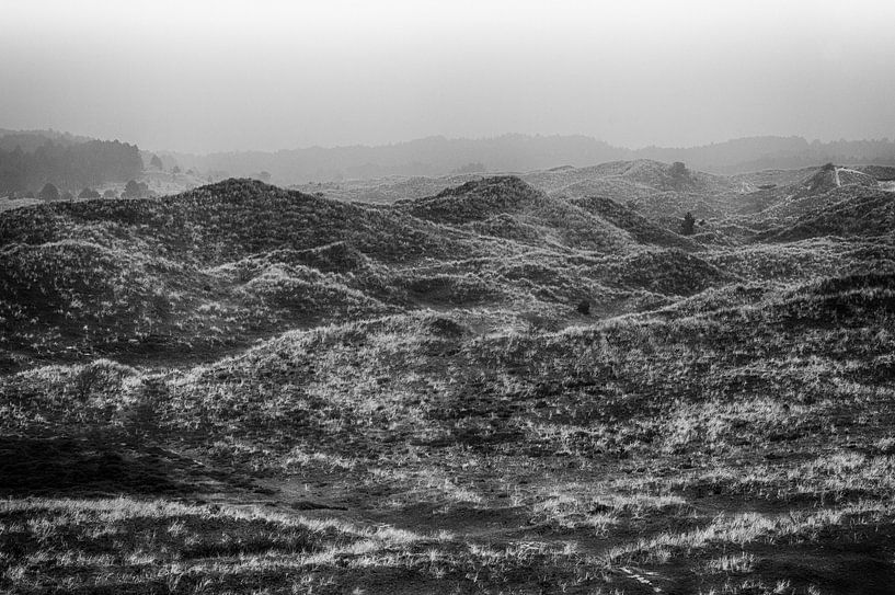 Les dunes grises de l'hiver par jeroen akkerman