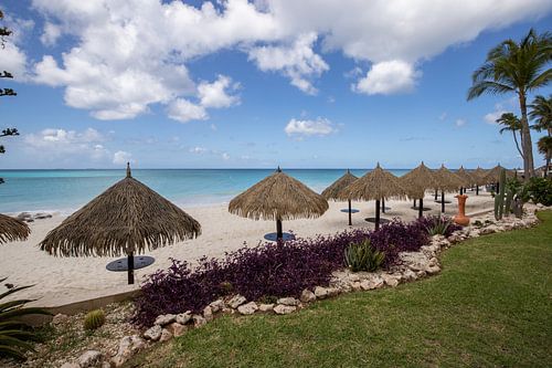 Aruba