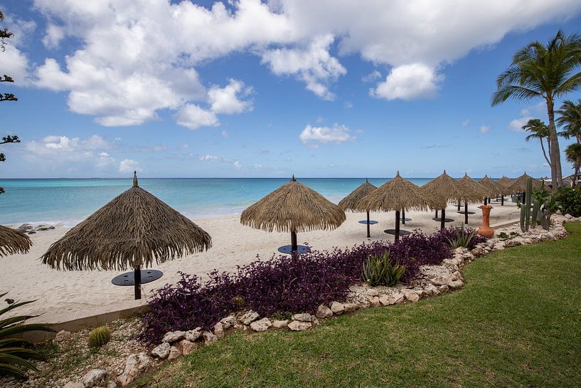 Aruba by Joyce Perez