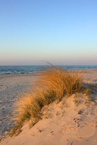 dunes