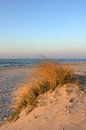 dunes par Ostsee Bilder Aperçu