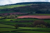 Somerset Landscape van Hans Kool thumbnail