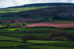 Somerset Landscape sur Hans Kool