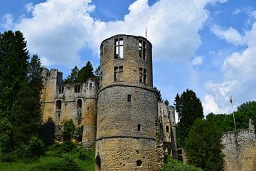Castle in Beaufort, Luxembourg by Nicolette Vermeulen