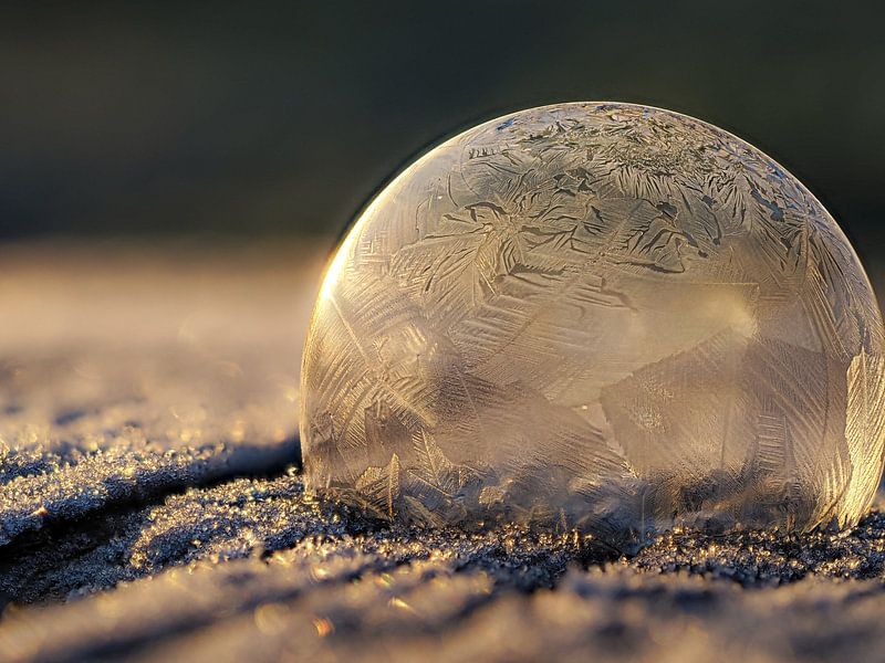 Ice cold art by Lex Schulte