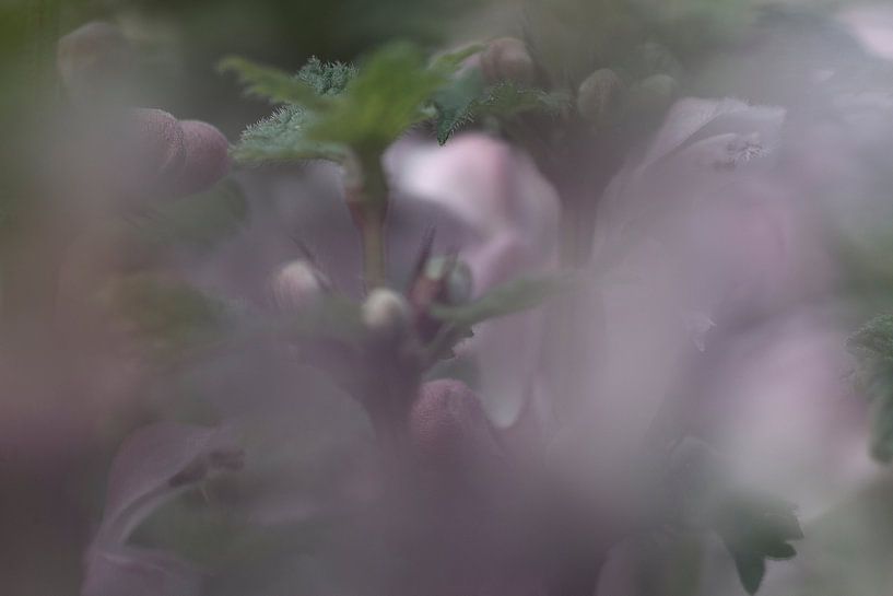 Under water by Marja Braaksma