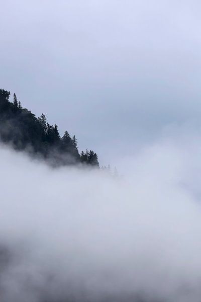 Mysterious by Thomas Jäger