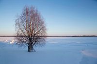 Lappland (Finnland)
