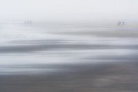 Strand Hoek van Holland
