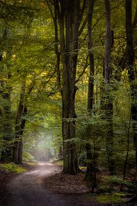 Der Herbst beginnt