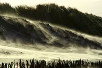 Strand in brand