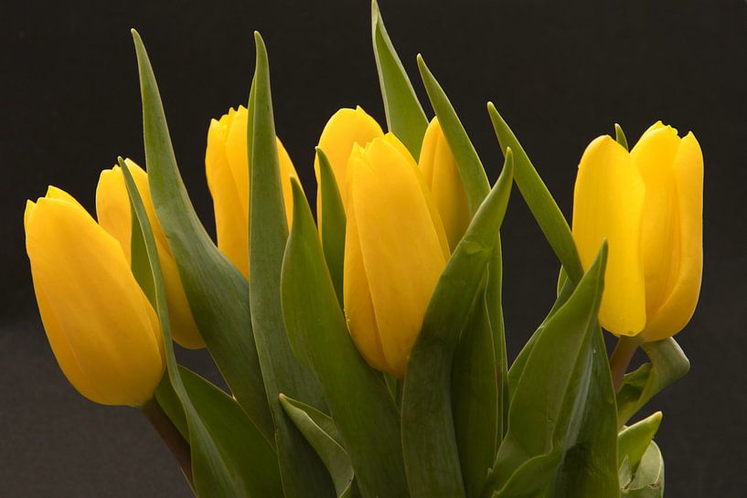 Gelber Tulpenstrauß, Liebe zu Blumen von Jolanda de Jong-Jansen