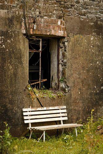 The forgotten garden bench