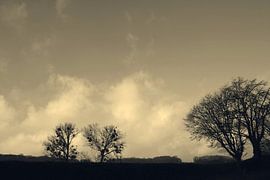 Hills in sepia by Suzan Stenzel