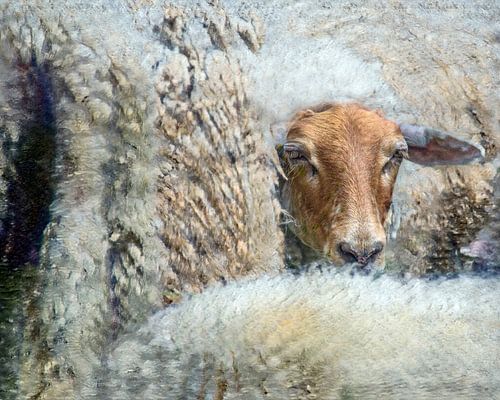 Die Wollfabrik 3 von Marc Lourens