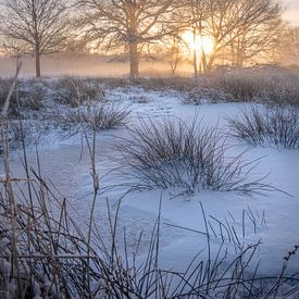 Gouden Ochtendpracht: Zonsopkomst boven Wijfelterbroek, Kempen-Broek, Limburg van Peschen Photography