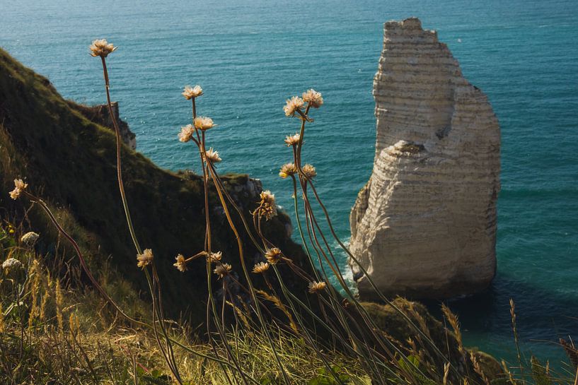 Falaise de craie isolée près d'Etretat, Normandie, avec des fleurs par Paul van Putten