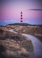 Sunset in the dunes near the lighthouse of Ameland