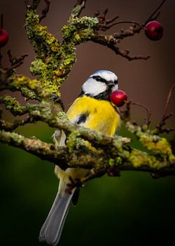 Hey, was ist da drin?