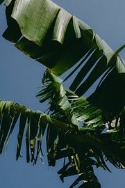 L'art de feuilleter sur Jesse Wensing