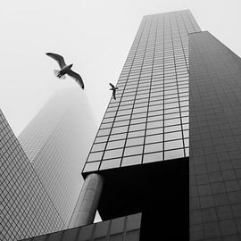 Hochhaus Rotterdam von Peter Schmidt