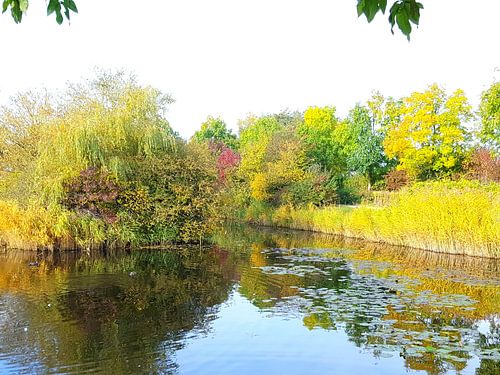 Vijver omringd door gekleurde bomen.