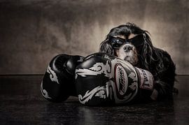 Iron Mike by Bob Van Hoyweghen