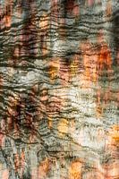 Herbstliche Reflexionen