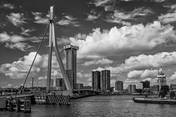 Ligne d'horizon de Rotterdam
