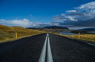 Iceland Road van Freek van den Driesschen thumbnail