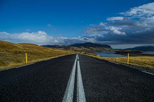 Iceland Road van Freek van den Driesschen