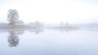 Morning softness touches you.