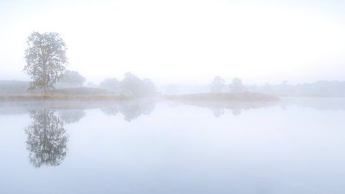 Die morgendliche Sanftheit berührt Sie.