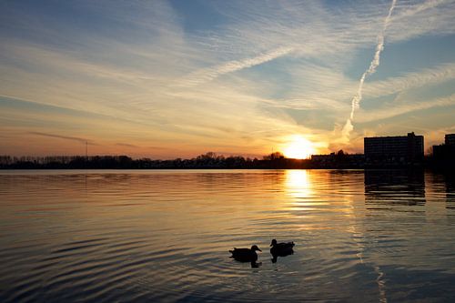 Zegerplas à Alphen aan den Rijn au coucher du soleil