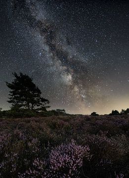 een nacht op de Veluwe van paul scheffers