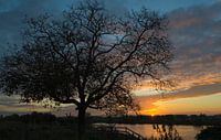 Zonsopkomst Buggenum (L) van Wendy Drent thumbnail
