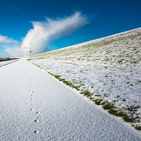 Tracks in the snow by Jan Georg Meijer