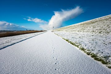 Spuren im Schnee von Jan Georg Meijer