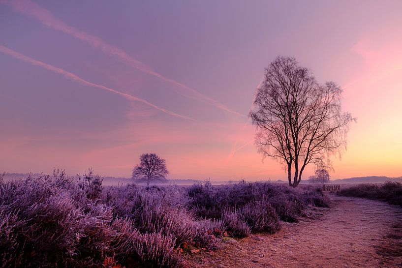 Ermelose Heide by Eddy Westdijk