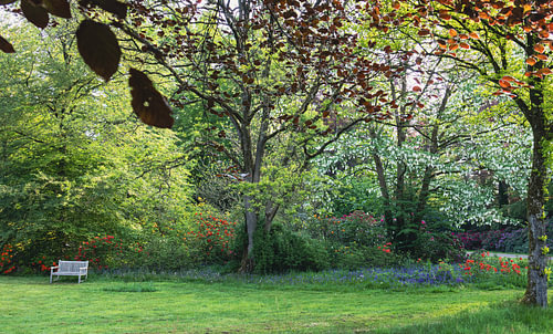 Frühling im Palastgarten