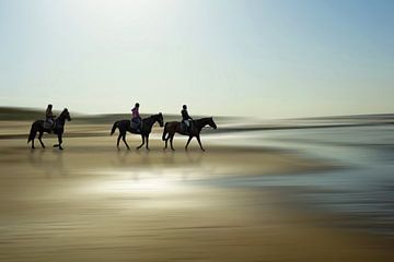 Horses at the beach by Peter Roder