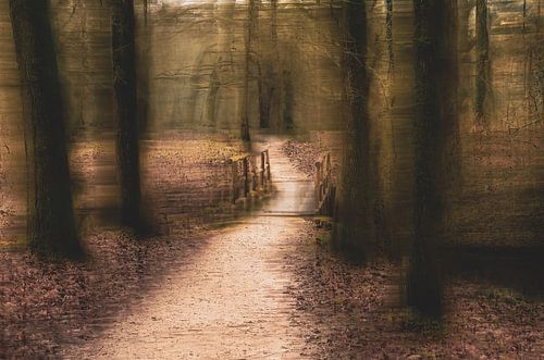 Hemmensebos part 19