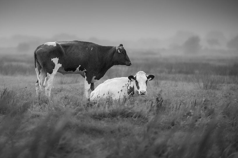 Nostalgie in Bildern von Gerard Stasse Fotografie