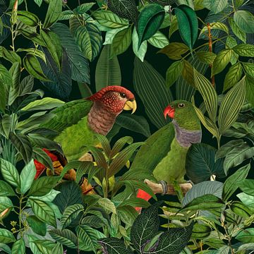 Papegaaien Jungle Paradijs van Andrea Haase