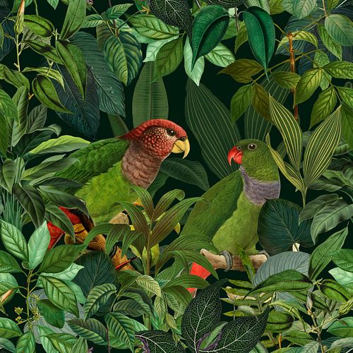 Parrots Jungle Paradise by Andrea Haase