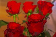 FLORAAL : RODE ROZEN VOOR HUWELIJKSVERJAARDAG van Photoart-Naegele thumbnail