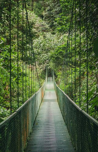 Pont suspendu dans la forêt tropicale