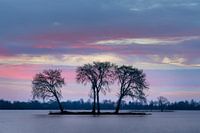 Reeuwijk - Elfhoevenplas