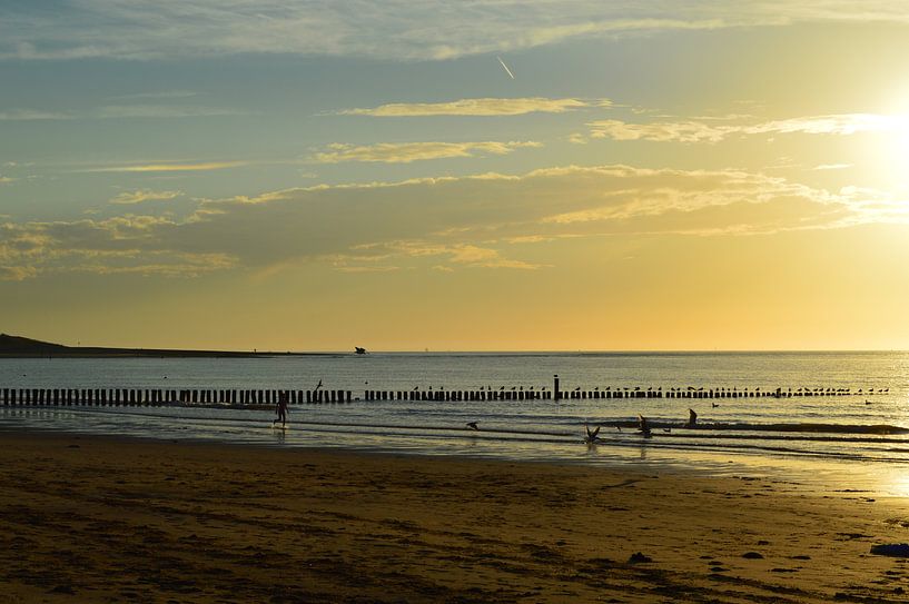 Zeeland beach by Joke te Grotenhuis